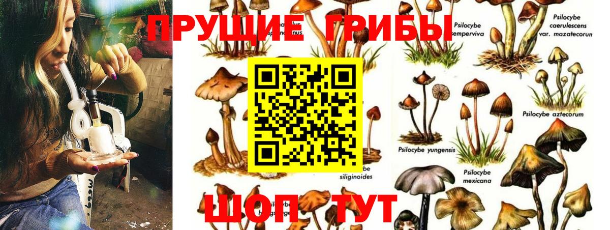 Галлюциногенные грибы Magic Shrooms Северобайкальск