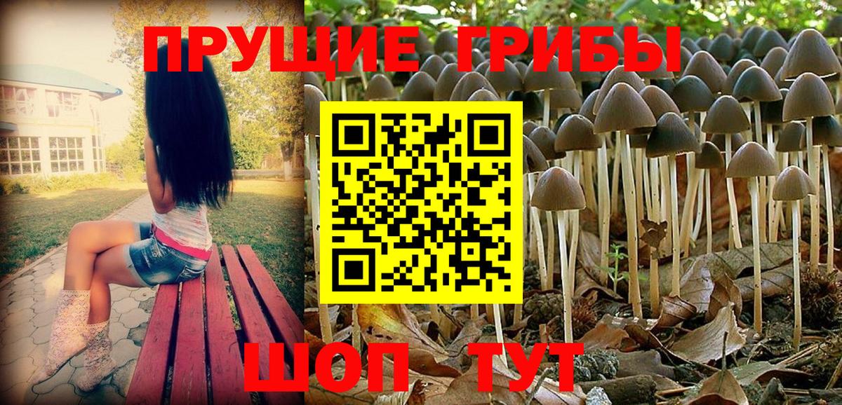 Северобайкальск  Псилоцибиновые грибы Psilocybine cubensis  Псилоцибиновые грибы ЛСД  Вход с VPN 