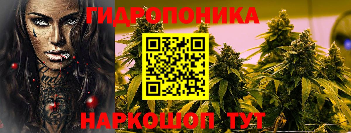 Бошки Шишки план  Вход с VPN  МАРИХУАНА семена  Северобайкальск  Каннабис гибрид  Бошки Шишки планчик 
